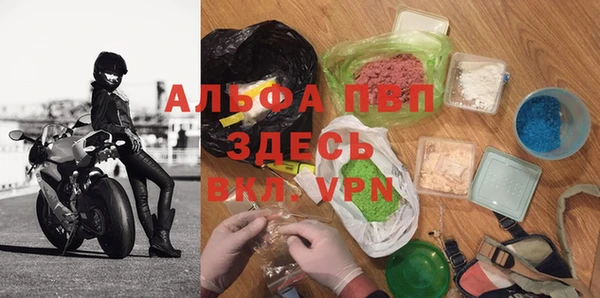 дмт Новодвинск