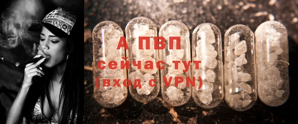 дмт Новодвинск