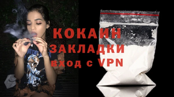 дмт Новодвинск