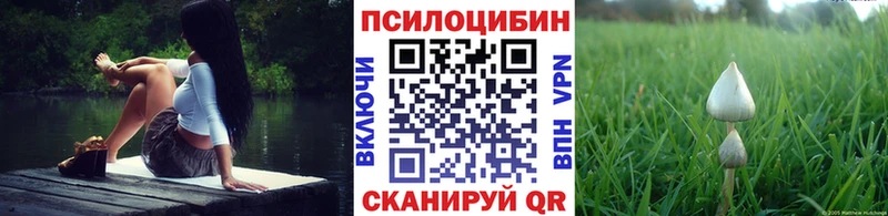 Псилоцибиновые грибы MAGIC MUSHROOMS  купить   kraken tor  Таганрог 